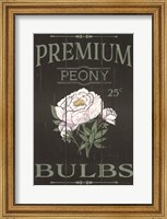 Framed Peony Blubs