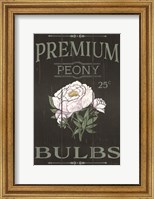 Framed Peony Blubs