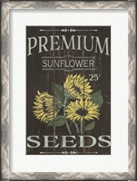 Framed Sunflower Seeds