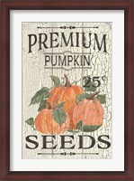 Framed Pumpkin Seeds