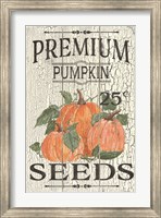 Framed Pumpkin Seeds