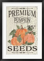 Framed Pumpkin Seeds