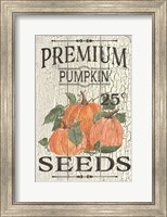 Framed Pumpkin Seeds