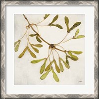 Framed Maple Branch Crop