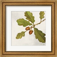 Framed Oak Branch Crop