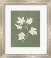 Framed Botanical Study III Forest Green