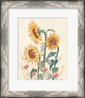 Framed Sunflower Season IX Bright