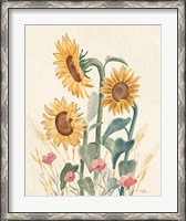 Framed Sunflower Season IX Bright