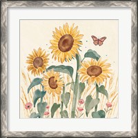 Framed Sunflower Season III Bright