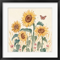 Framed Sunflower Season III Bright
