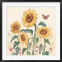 Framed Sunflower Season III Bright