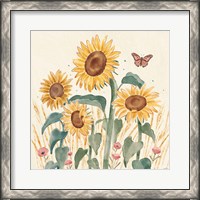 Framed 'Sunflower Season III Bright' border=
