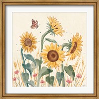 Framed Sunflower Season II Bright