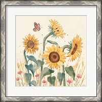Framed 'Sunflower Season II Bright' border=