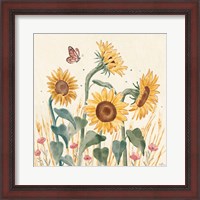 Framed 'Sunflower Season II Bright' border=