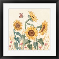 Framed Sunflower Season II Bright