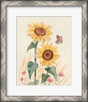 Framed 'Sunflower Season VIII Bright' border=