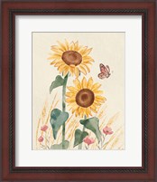 Framed 'Sunflower Season VIII Bright' border=
