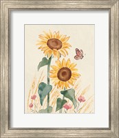 Framed 'Sunflower Season VIII Bright' border=