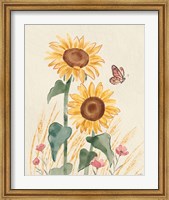 Framed Sunflower Season VIII Bright