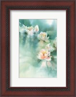 Framed Water Lily I