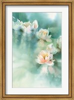 Framed Water Lily I