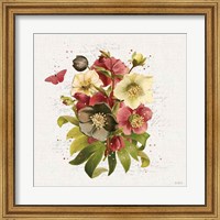 Framed Vintage Petals VII