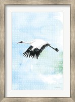 Framed Crane in Flight II