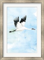 Framed Crane in Flight I