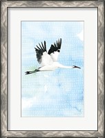 Framed Crane in Flight I