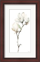 Framed White Magnolia II