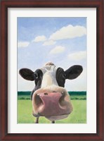 Framed Funny Cow