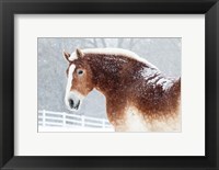 Framed Snowy Draft Horse