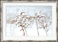 Framed Snowy Gardens