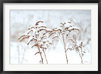 Framed Snowy Gardens