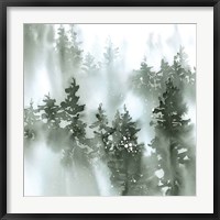 Framed Misty Forest I Green