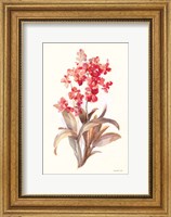 Framed Autumn Orchid I
