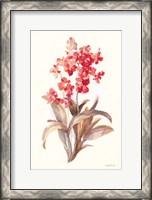 Framed Autumn Orchid I