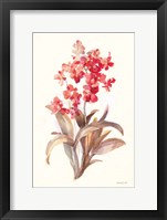 Framed Autumn Orchid I