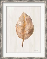 Framed Fallen Leaf II Texture