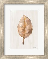 Framed Fallen Leaf II Texture