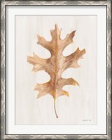 Framed Fallen Leaf I Texture