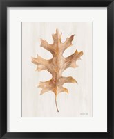 Fallen Leaf I Texture Framed Print