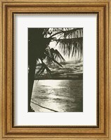 Framed Palm Beach II