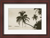 Framed Palm Beach I