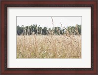 Framed Summer Field II