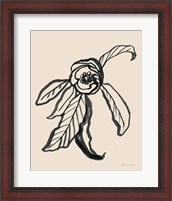 Framed Ink Sketch Flower