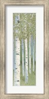 Framed Green Forest II