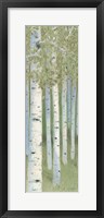 Green Forest II Framed Print