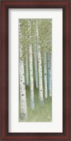 Framed Green Forest I